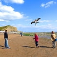 thumbnail image 5 of A Dynamic Goldfish Kite With Fishing Rod, 14X6 Inches Children Outdoor Toy, Easy Fly Design For Beginners, 5 of 5