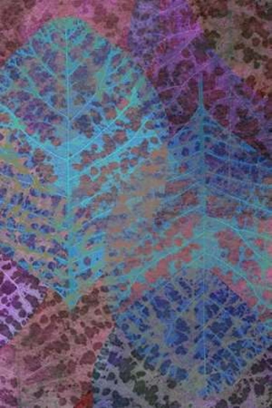 Leaf Pattern 1-7 Ca