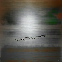 Parvez Taj Into the Sun Metal Wall Art