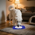 thumbnail image 5 of Lick Mat for Dogs and Cats with Suction Cups, Slow Feeder Licking Pad for Anxiety Relief, Dog Enrichment Toys to Keep Them Busy, Silicone Lick Mat for Bathing Grooming Training, 5 of 5