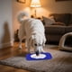thumbnail image 5 of Comedero Lento Para Perros Almohadilla De Silicona Para Que Los Perros Laman Dispensador Para Cachorros Y Gatos Que Evita La Ansiedad Y El Desorden Seaflex Feast Mat – Comedero Lento Fomenta El, 5 of 5