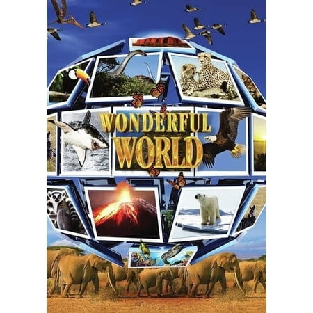Wonderful World (DVD)