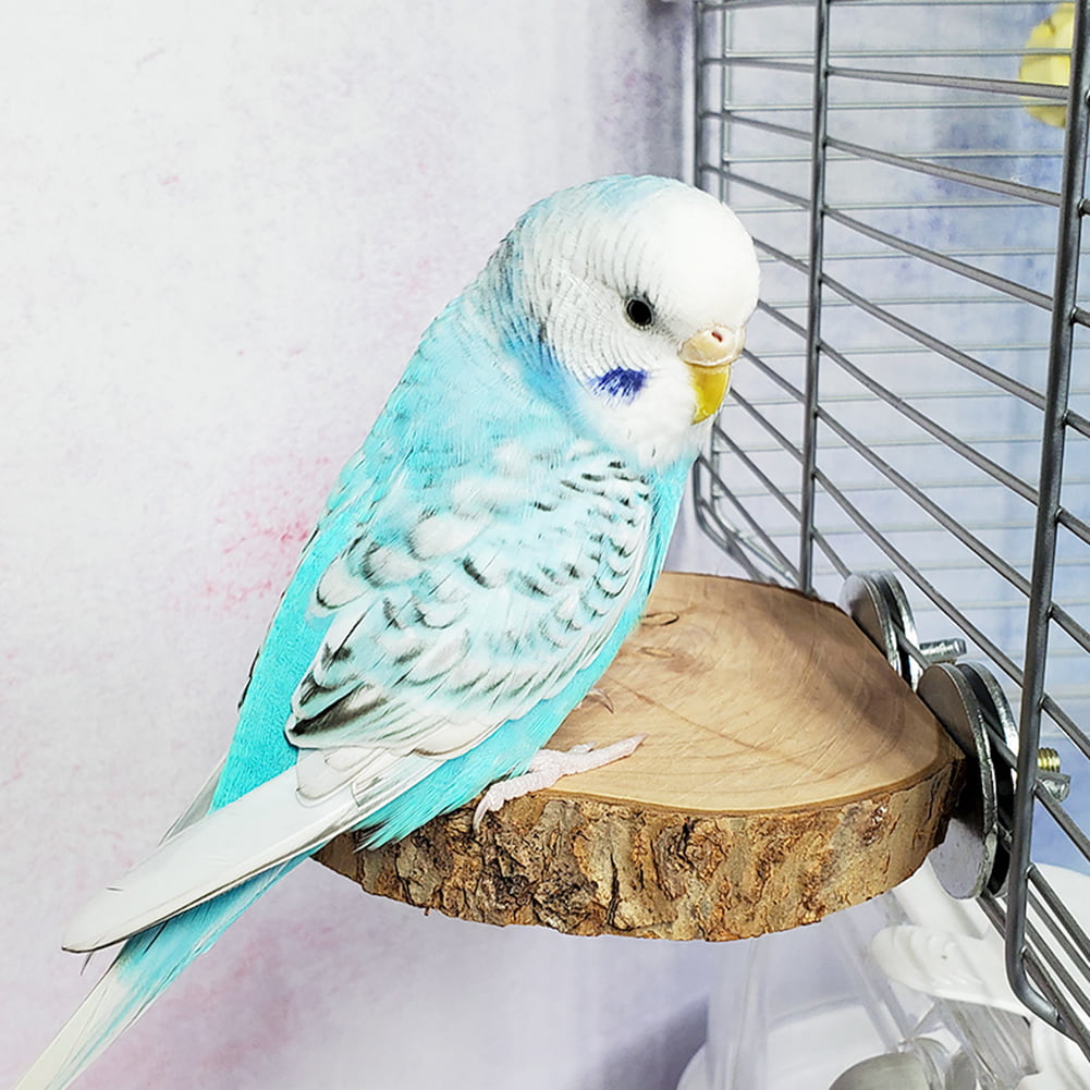 Wooden Mini Round Parrot Bird Cage Perches Stand Platform Pet Budgie Toy Gifts 
