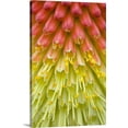 thumbnail image 1 of Great BIG Canvas | "Close Up Of Flower Stamen" Canvas Wall Art - 16x24, 1 of 2