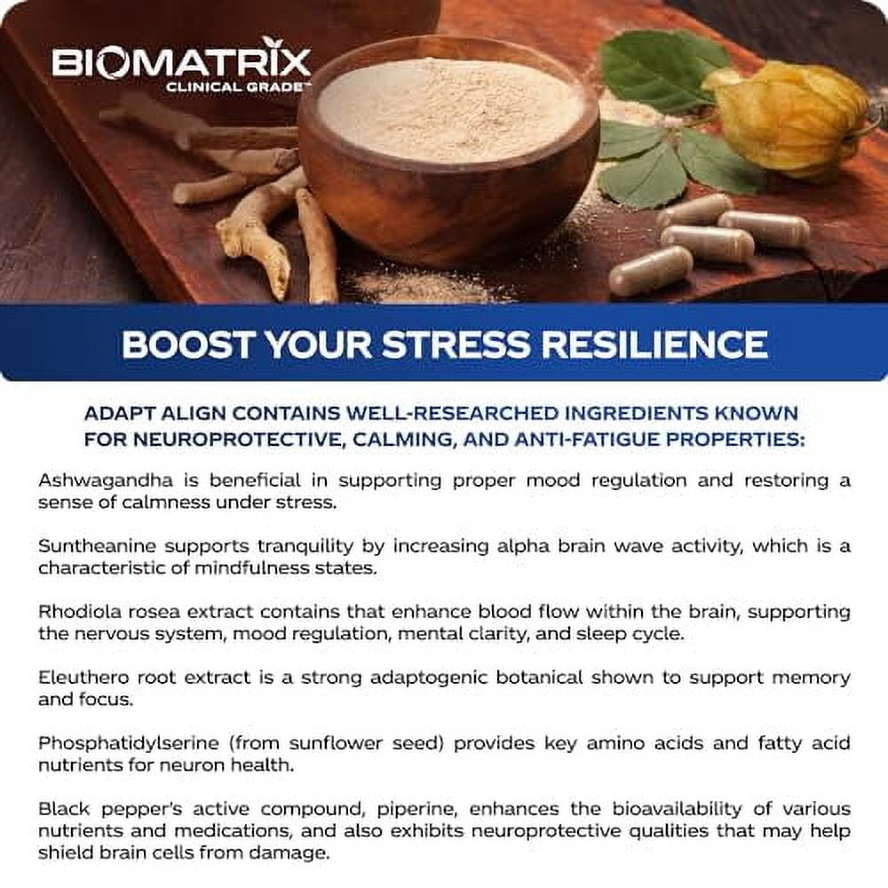 Adaptogen Supplement w/ Ashwagandha, L-Theanine, Rhodiola, Ginseng | Cortisol Support, Stress Relief, Focus, Mood | 60 Capsules