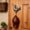 A, variant on Wrought Iron Rooster Wall Hook 6.5 Inch Rustic Farmhouse Key Holder for Kitchen Entryway Garden Tool Organizer
