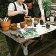 thumbnail image 1 of LOLIPPYY 50Pcs Reusable Cups for Gardening Durable Cultivation with Feature, 1 of 8