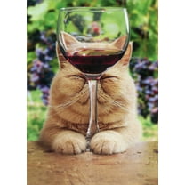 Avanti Press Cat With Glass Of Red Wine Funny Birthday Card