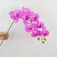 thumbnail image 1 of Tallos de orquídeas Flores artificiales Real Touch Látex Faux Phalaenopsis Ramas 9 Flores grandes 38 pulgadas brillar Juguete, 1 of 6