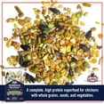 thumbnail image 4 of (2 pack) Kalmbach Feeds Henhouse Reserve - Extraordinary Whole Grain Layer Feed for Chickens, 30 lb, 4 of 9