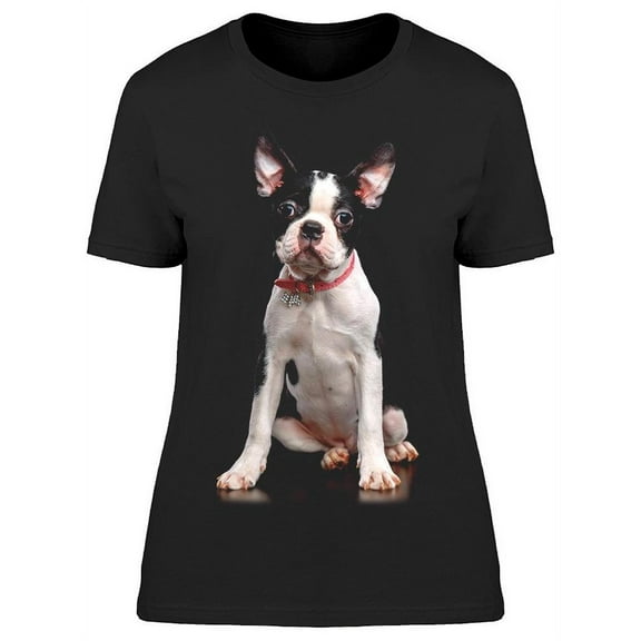 Surprised Terrier Dog T-Shirt Women -Image by Shutterstock, Female 3X-Large
