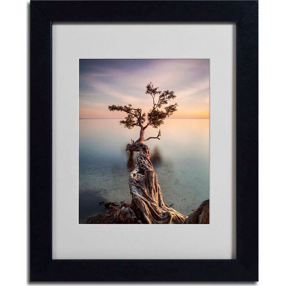 Matted art under acrylic in a black framed