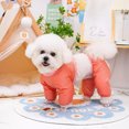 thumbnail image 2 of Adorable Pet Clothes for Cats & Small Dogs - Charming Spring & Autumn Wear, 2 of 2