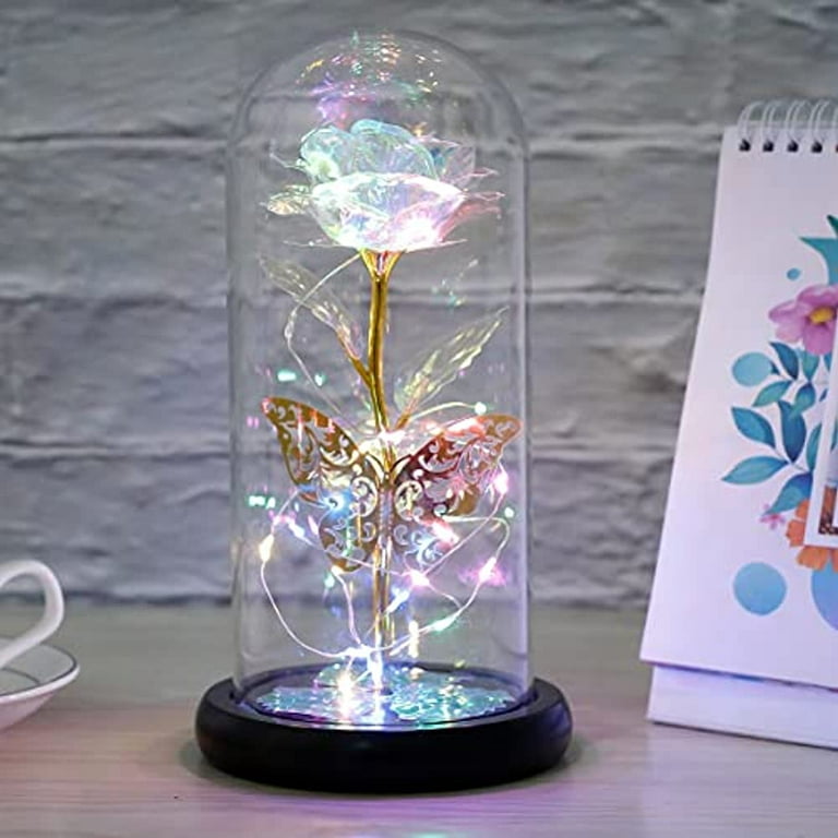 SWEETIME Blue Rose Lamp Real Preserved Rose in Glass Dome, Forever Flower  Night Light with Bluetooth Speaker, Eternal Flowers Rose Musical Box Gift  for Her on Mother's Day, Birthday, Valentine Day. 