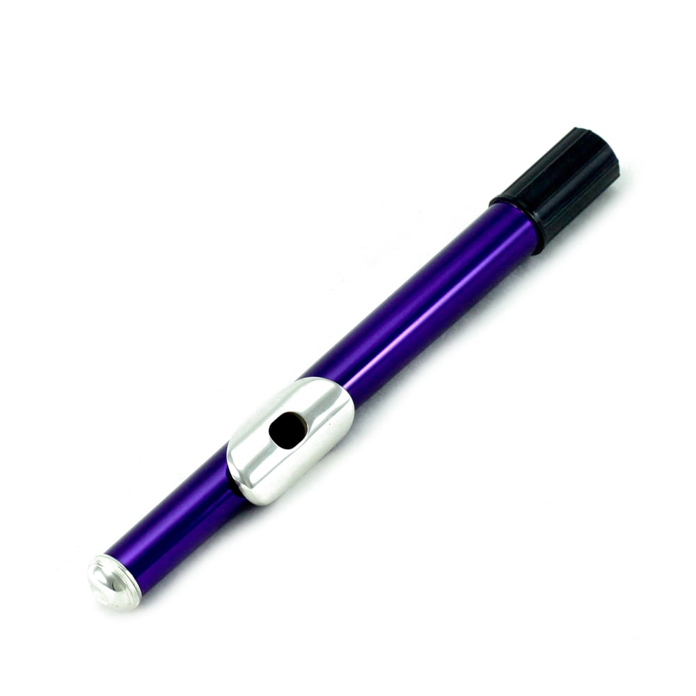 Sky C Flute with Lightweight Case, Cleaning Rod, Cloth, Joint Grease and Screw Driver - Blue/Silver Closed Hole