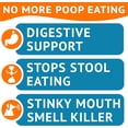 thumbnail image 3 of Chew No Poo - Coprophagia Treatment for Dogs - Prevent Dog Poop Eating - Natural Stool Eating Deterrent + Breath Aid - Probiotics & Digestive Enzymes - Boosts Gut Health - Made in USA - 120 ct, 3 of 9