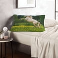 thumbnail image 6 of Lsque Horse Rearing Up In The Field Pattern Pillow Case – Soft & Cozy Throw Pillow Cover, Hypoallergenic Cushion Case for Sleeping Women with Envelope Closure-20"x30", 6 of 6
