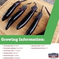 thumbnail image 2 of Harris Seeds Eggplant Shikou, Non-GMO, 500 Count, 2 of 7