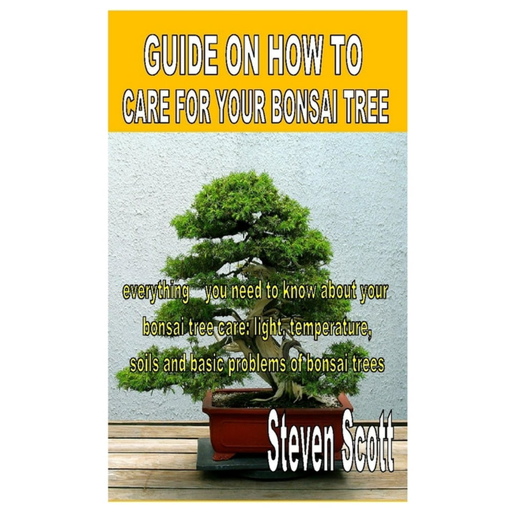 Guide on How to Care for Your Bonsai Tree Everything you need to know