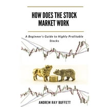 How Does the Stock Market Work: A Beginner's Guide to Highly Profitable Stocks