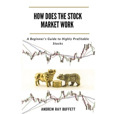 How Does the Stock Market Work: A Beginner's Guide to Highly Profitable Stocks