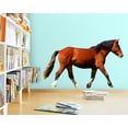 thumbnail image 2 of VWAQ Horse Vinyl Wall Decals for Kids Rooms - Wild Mustang Wall Art, Stallion Decor Mural - VWAQ-PAS21 (19.5" H X 32" W), 2 of 2