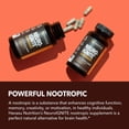 thumbnail image 4 of Havasu Brain Supplement for Memory and Focus, Natural Nootropics Brain Support Supplement, 30 Ct, 4 of 9