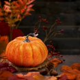 thumbnail image 4 of CNKOO 37 Pcs Simulation Pumpkin Model Halloween Decor Pumpkin Decor Miniture Decoration Halloween Mini Ornament, 4 of 10