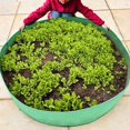 thumbnail image 4 of Grow Your Own Veggies with This Durable, Breathable Plant Grow Bag!, 4 of 4