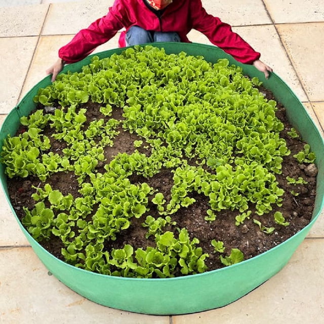 Grow Your Own Veggies with This Durable, Breathable Plant Grow Bag!