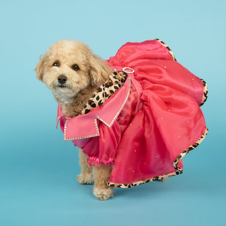 未使用 DOG柄シャツ & ロングパンツ 上下セット トイプードル ピンク 楽天市場】ジェラピケ トイプードル（レディース｜インナー