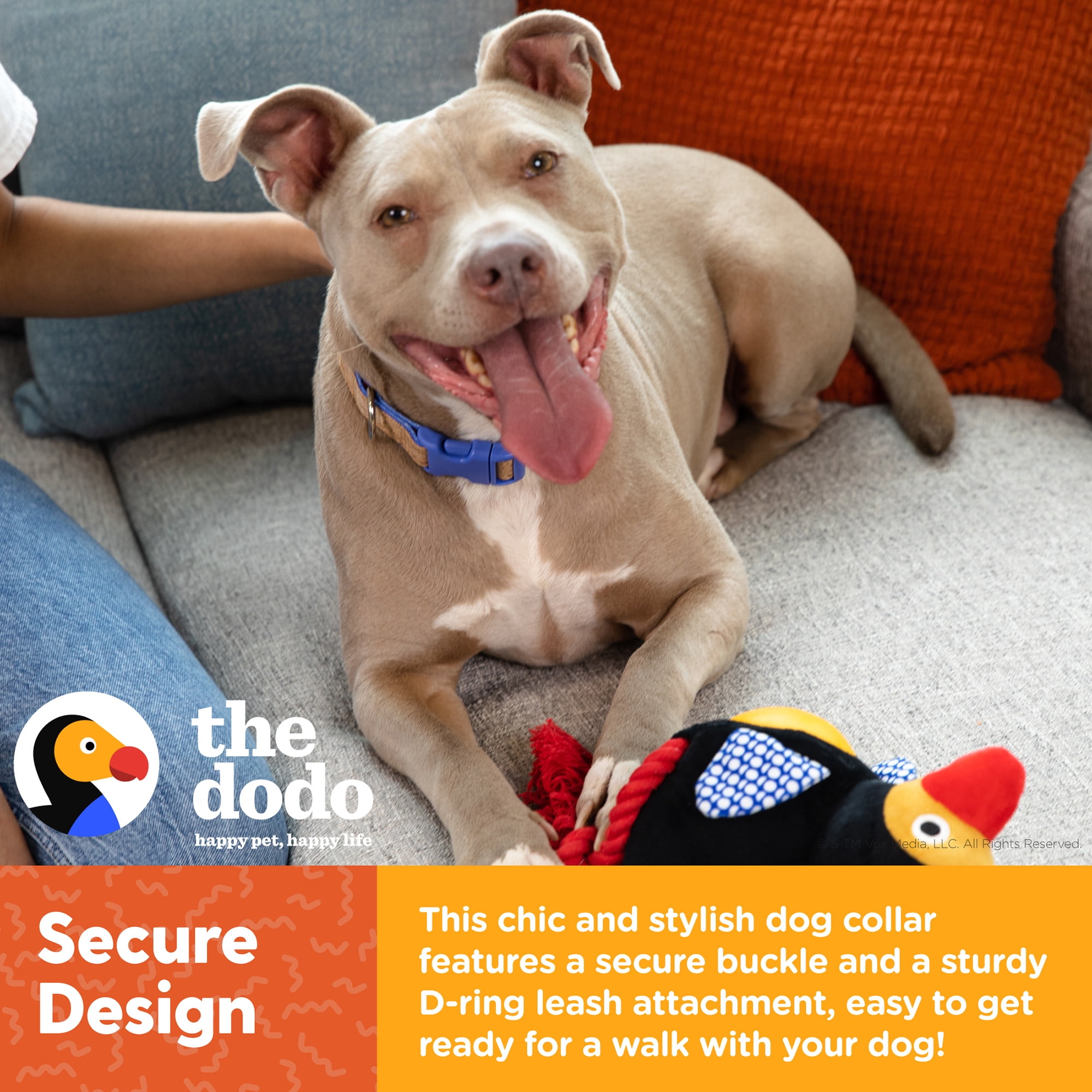 The Dodo Cork Dog Collar, Striped, Medium, Easy Snap Buckle