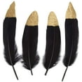 thumbnail image 3 of Mejore su estilo y espacio con diseños decorativos e infundidos para ropa, sombreros, bodas, cumpleaños y más. Plumas vibrantes, 3 of 5