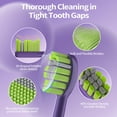 thumbnail image 5 of OasiSmile Sonic Electric Toothbrush for Adults and Teens, 5 Modes 42000 VPM Power Rechargeable Travel Toothbrushes with 6 Brush Heads, 90 Days Battery Life, Purple, 5 of 9