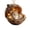 Multicolor D, variant on Hzrsly Forest Christmas Ornaments Set of 9 Mini Resin Hedgehog Acorn Hanging Decor for Tree Holiday Gift