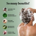 thumbnail image 6 of Invigorating Tea Tree Mint Shampoo - Rosemary Mint Shampoo for Oily Hair with Tea Tree Oil for Hair - Aromatherapy Clarifying Shampoo for Build Up Dry Scalp and Flakes with Essential Oils for Hair, 6 of 9