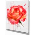 thumbnail image 2 of Red Rose Hand drawn with Splashes - Floral Canvas Art Print, 2 of 4