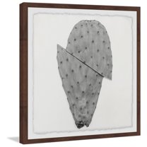 Sliced Cactus Framed Painting Art Print, 12.00" x 1.50"
