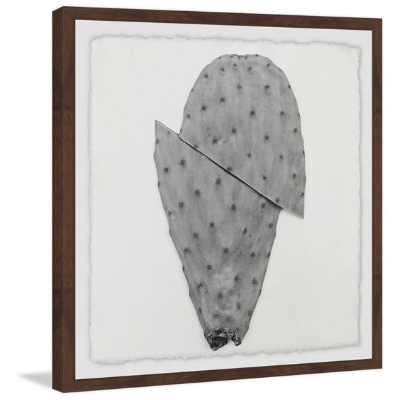 Sliced Cactus Framed Painting Art Print, 12.00" x 1.50"