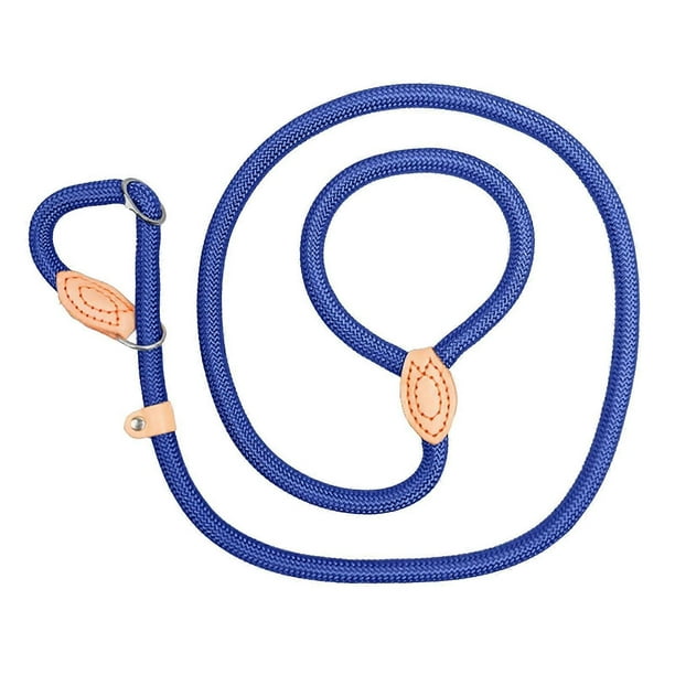 Dog Leash, Choke Chain, Nylon Stitched, Extended Training Leash, Slip Lead (C, One Size)