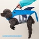 thumbnail image 3 of Chaleco salvavidas para perros Ripstop Shark, ajustable, con flotabilidad y asa de rescate duradera (azul), 3 of 5