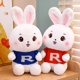 thumbnail image 2 of 30/40cm Cute / Soft/ Cartoon/ Rabbit Plush Toy/ Little White Rabbit Doll In Sweater/ Children's Birthday Gift/ Christmas Giftorange40cm Deng Xun unisex, 2 of 2