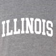 thumbnail image 5 of Wild Bobby State of Illinois College Style Men Premium Tri Blend Tee, 5 of 5