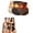 Z-Black+Beige+Coffee, variant on LILIYA 3PC 2026 Moringa & Berberine Firming Shorts for Women, 4-in-1 Micro-Particle Sculpting Yoga Pants, High Waisted Lifting Seamless Shaping Panties