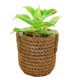 thumbnail image 1 of Simulación de flores falsas, bonsái grande suculento, decoración creativa a la moda, flor artificial en maceta, planta verde, 1 of 5