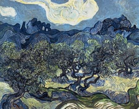 Olive Trees With Th