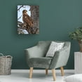 thumbnail image 2 of Trademark Fine Art David Drost Juvenile Bald Eagle Canvas Wall Art, 2 of 4