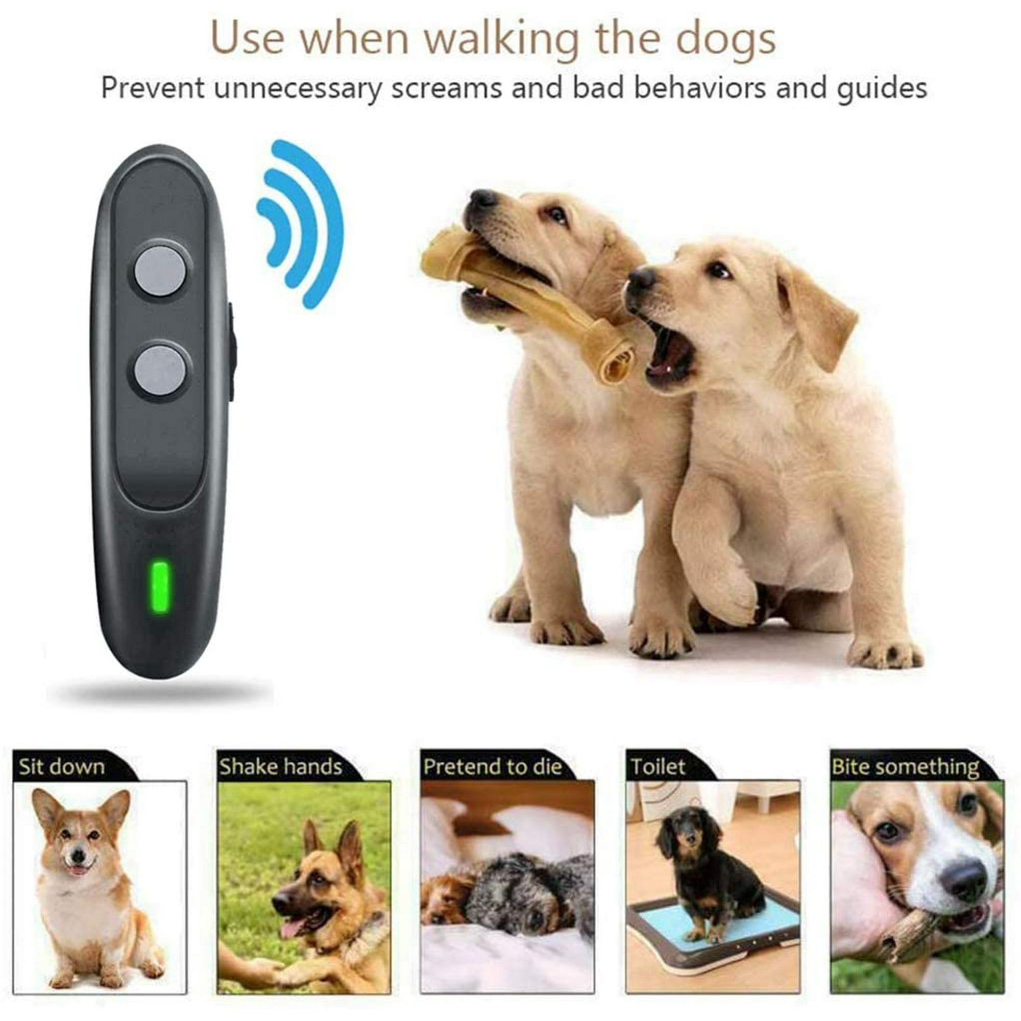 Do Ultrasonic Devices Stop Dogs Barking