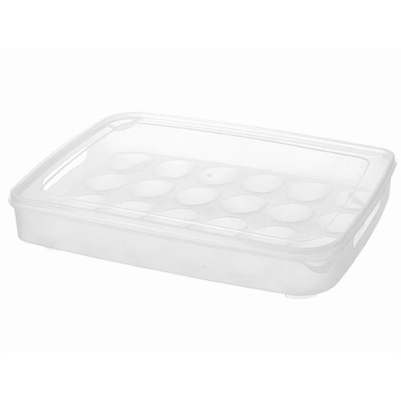 Deviled Egg Containers with Lid, Plastic Egg Storage Container Stackable Deviled Egg Carrier for 24 Eggs, Egg Organizer for Protect and Keep Fresh 12.6x9.5x2.4 Inch