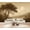 Color 3, variant on Wallpaper Magical Forest Glowing Fireflies Colorful Wildflowers Woodland Peel and Stick Wall Murals 69"H x 96"W Removable PVC Wall Paper Self-Adhesive Wall Paintings Art Decor for Bedroom Living Room